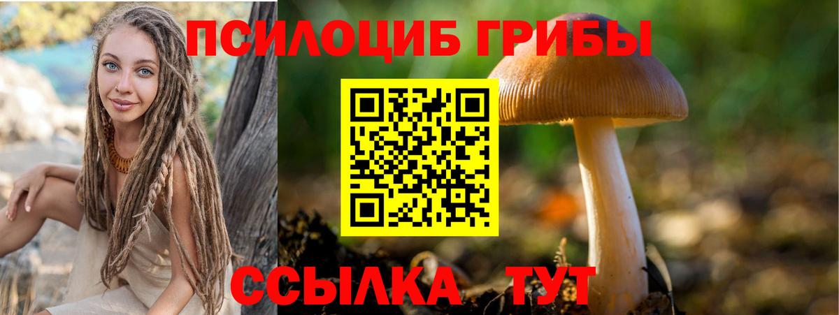 Псилоцибиновые грибы прущие грибы Чистополь